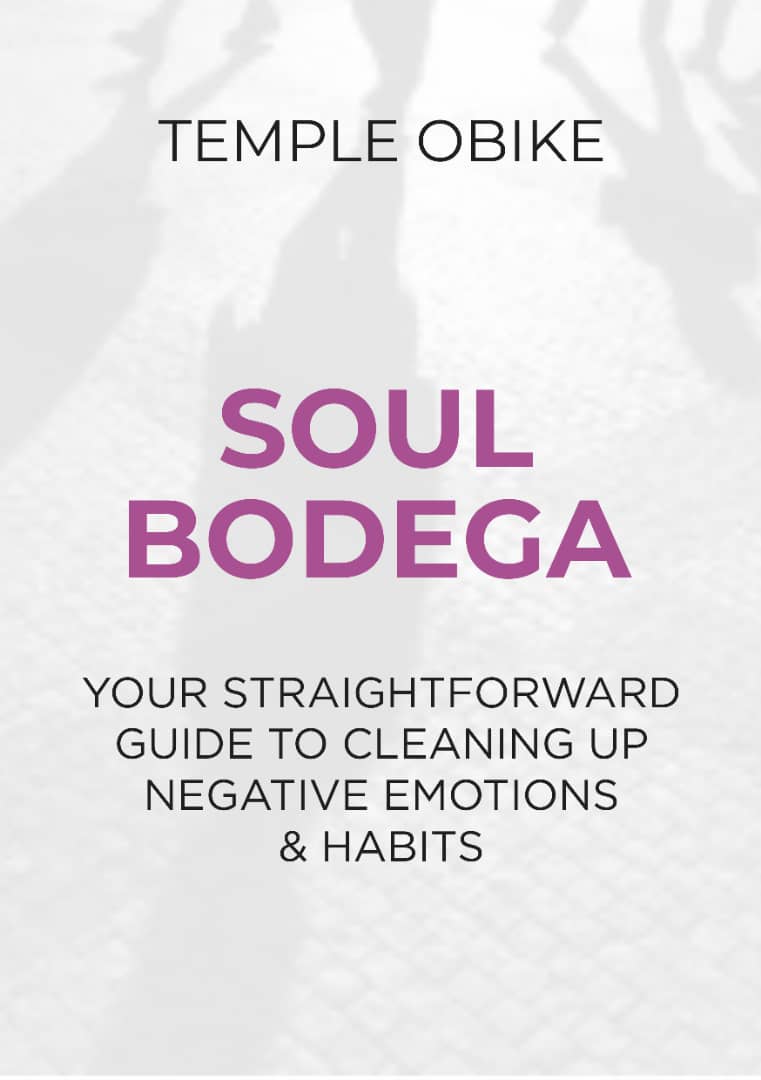 soul bodega