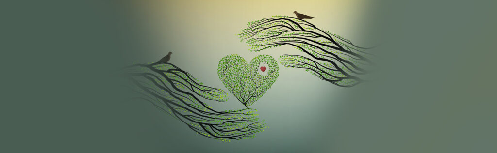 Emotionally focused therapy