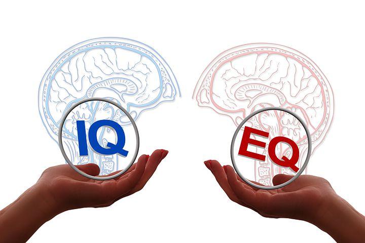 Emotional Intelligence vs IQ