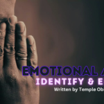 Emotional abuse, how to identify and end it written by Temple Obike
